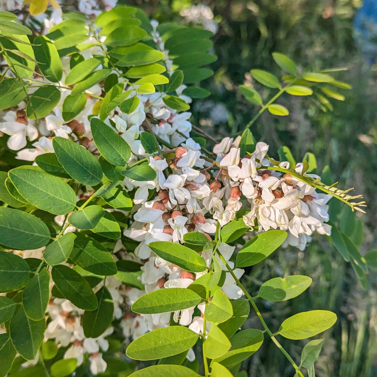 Le regard expert de Gabriel sur la matière